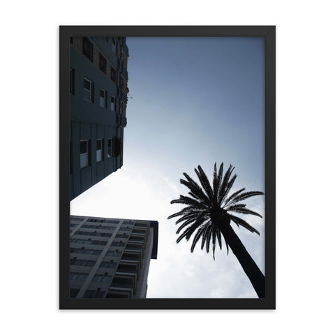 Skyline & Palm Tree Framed Print