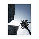 Skyline & Palm Tree Framed Print